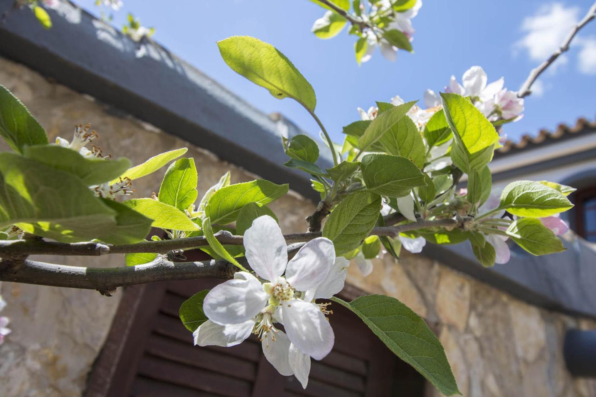 Villa Arrochela Vilamoura Bagian luar foto